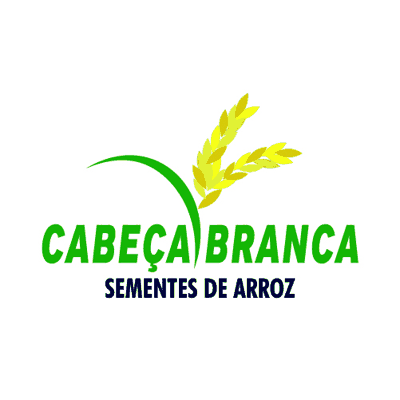 Cabeça Branca